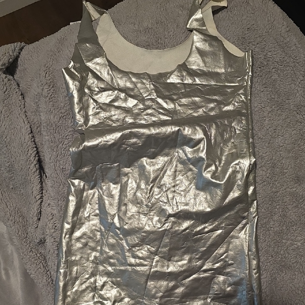 Silver Metallic Sleeveless Dress